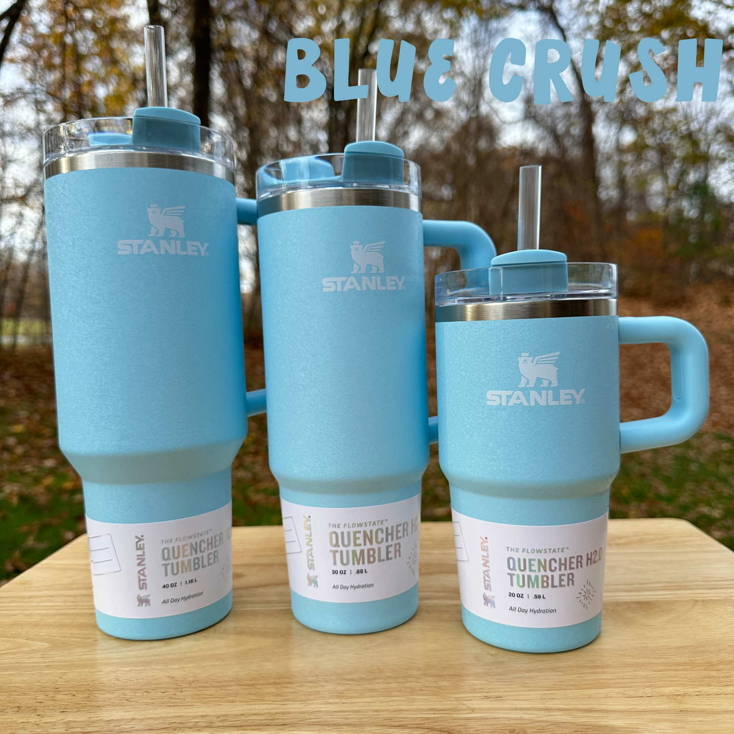 Mommy & Me - Stanley Tumblers