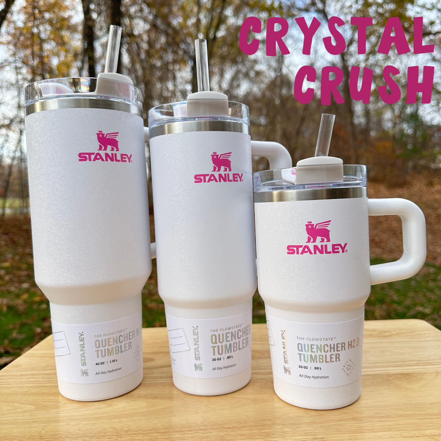 Mommy & Me - Stanley Tumblers